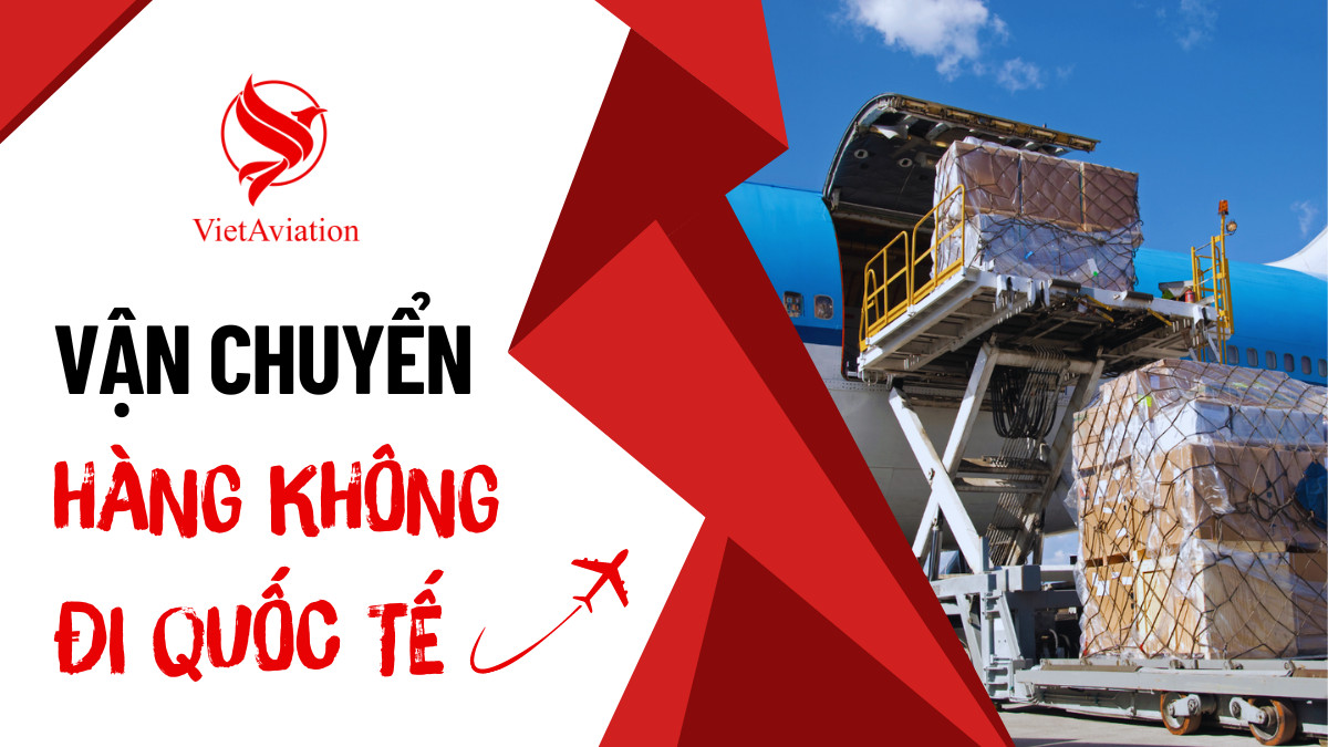 chuyên gia vận chuyển quốc tế