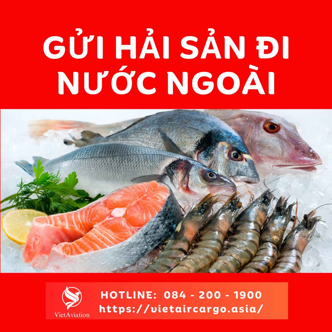vận chuyển hải sản đông lạnh