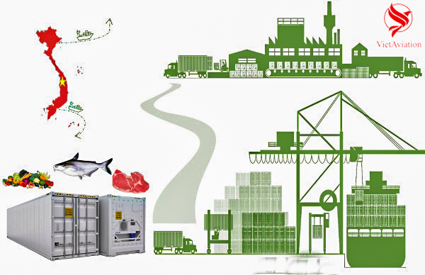 QUY TRÌNH VẬN CHUYỂN HÀNG ĐÔNG LẠNH ĐI TRUNG QUỐC