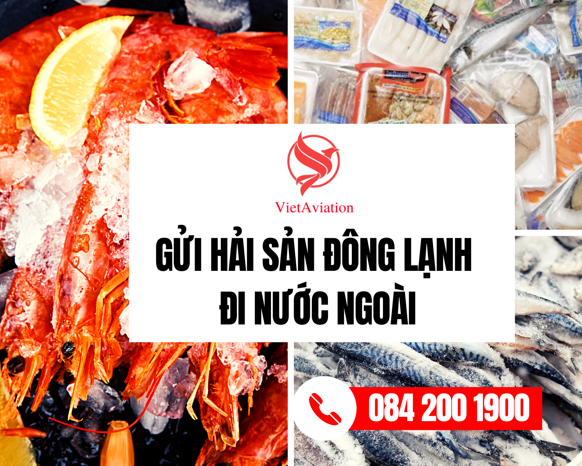 gửi hải sản đông lạnh đi nước ngoài
