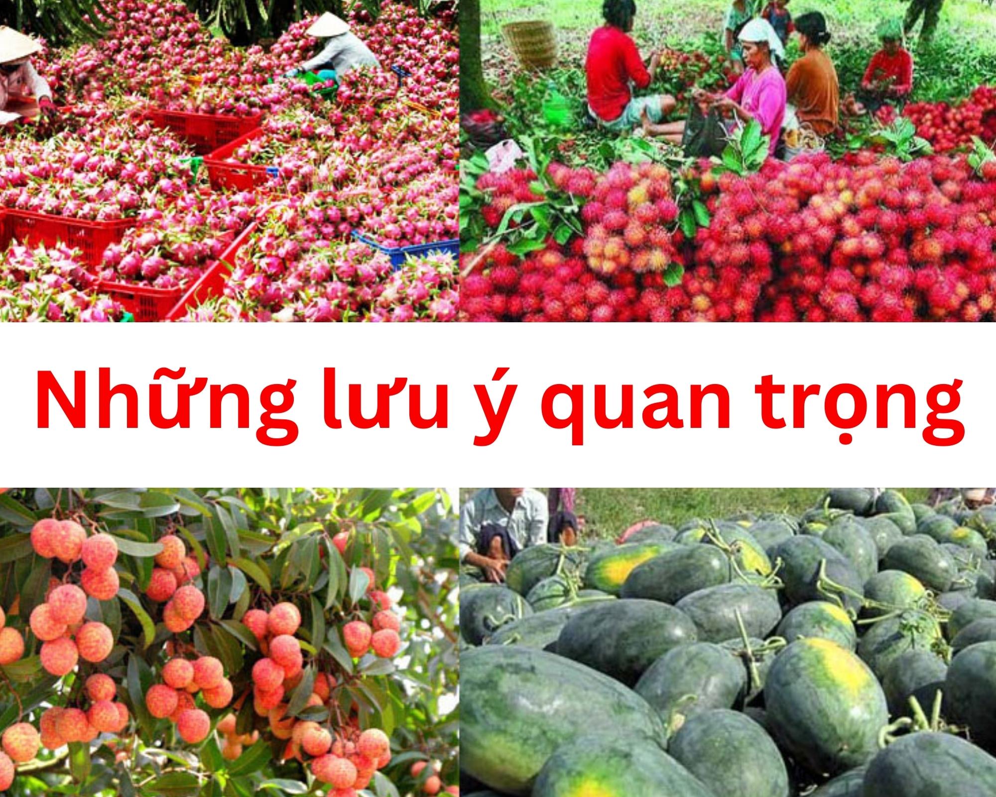 gửi trái cây sang Trung Quốc