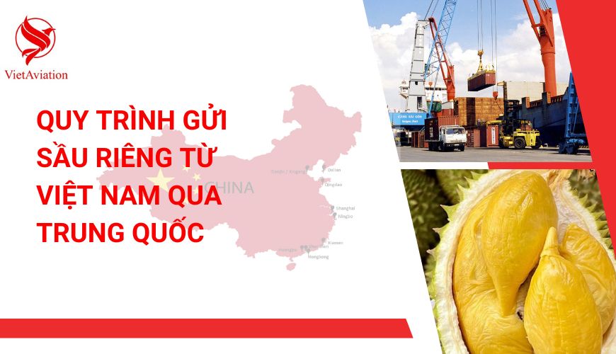 Quy Trình Gửi Sầu Riêng từ Việt Nam qua Trung Quốc