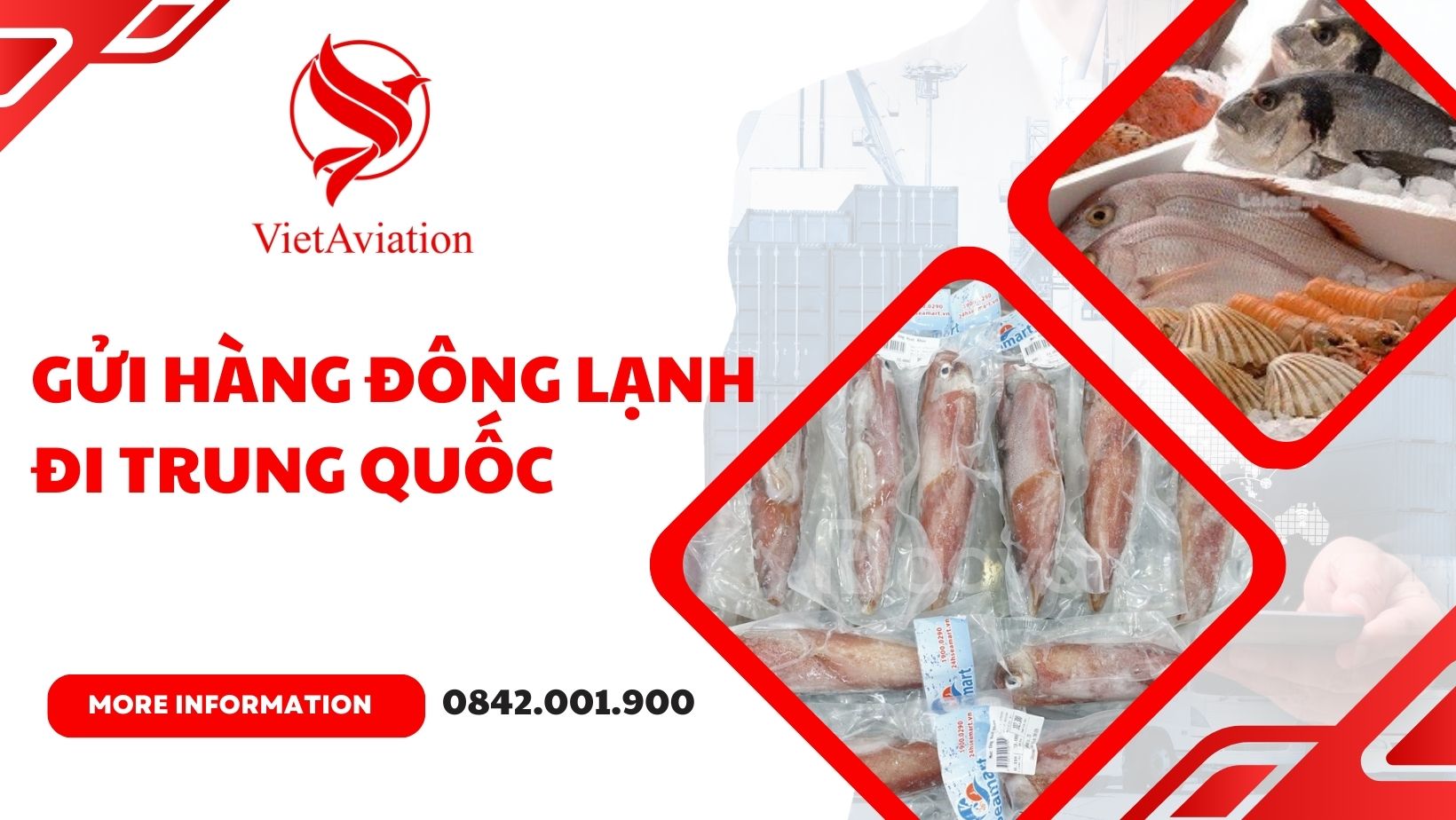 Vận chuyển hàng đông lạnh đi Trung Quốc