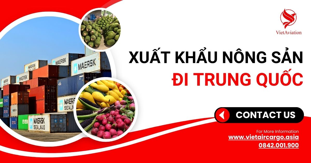 Xuất khẩu nông sản đi Trung Quốc cùng VietAviation