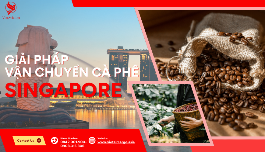 vận chuyển cà phê sang Singapore