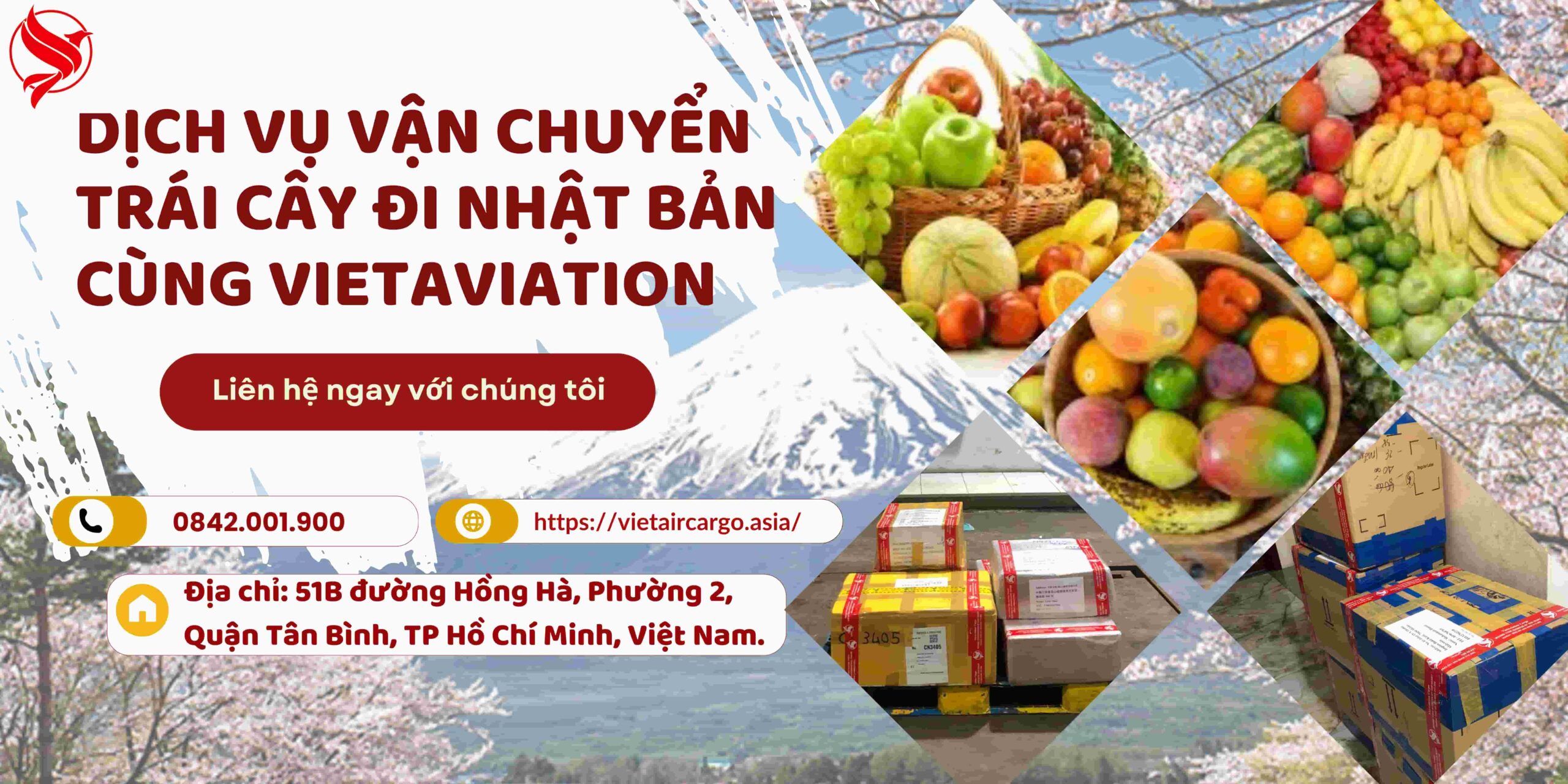 Dịch Vụ Vận Chuyển Trái Cây Đi Nhật Bản Cùng VietAviation