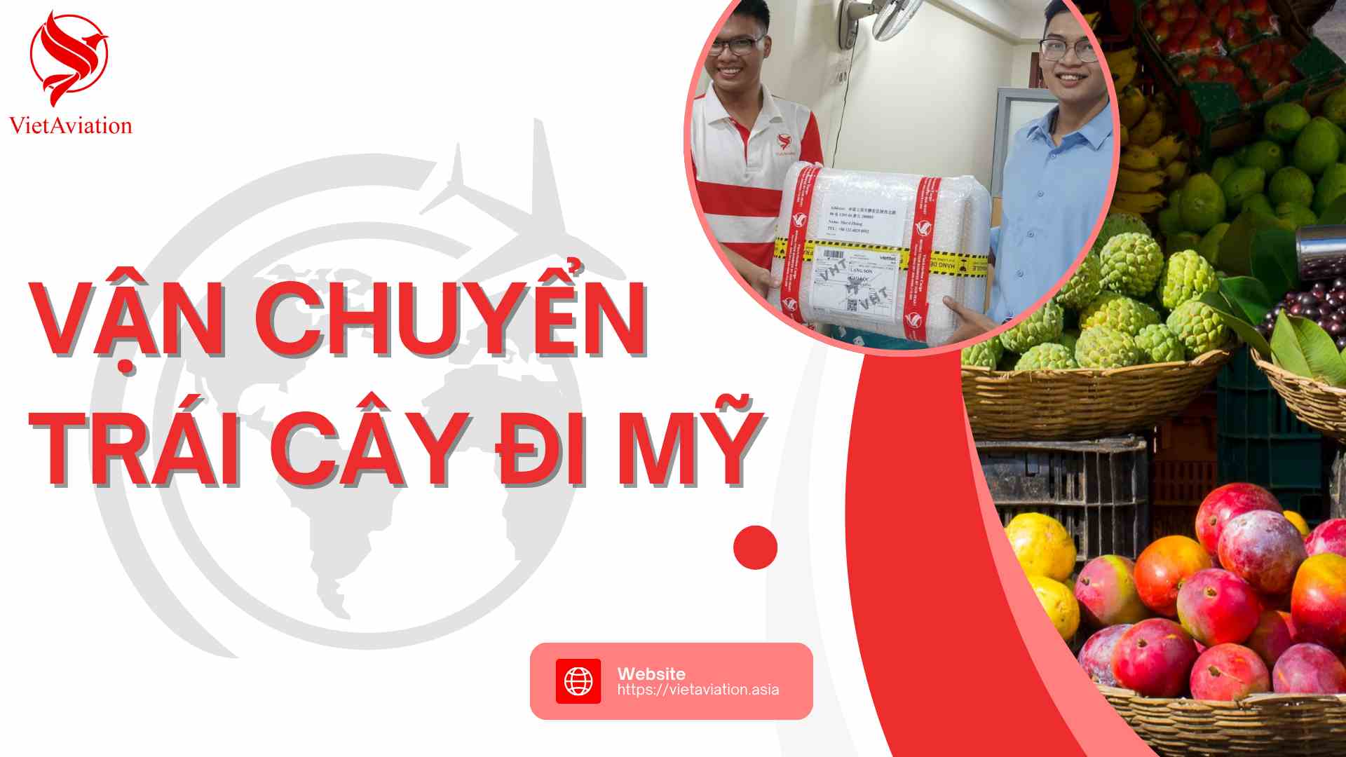 vận chuyển trái cây đi Mỹ