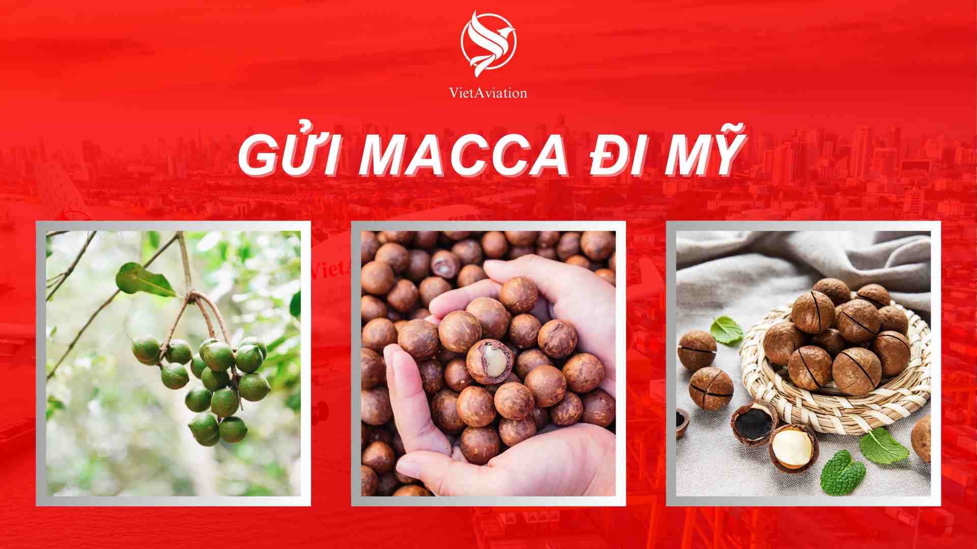 gửi macca đi mỹ