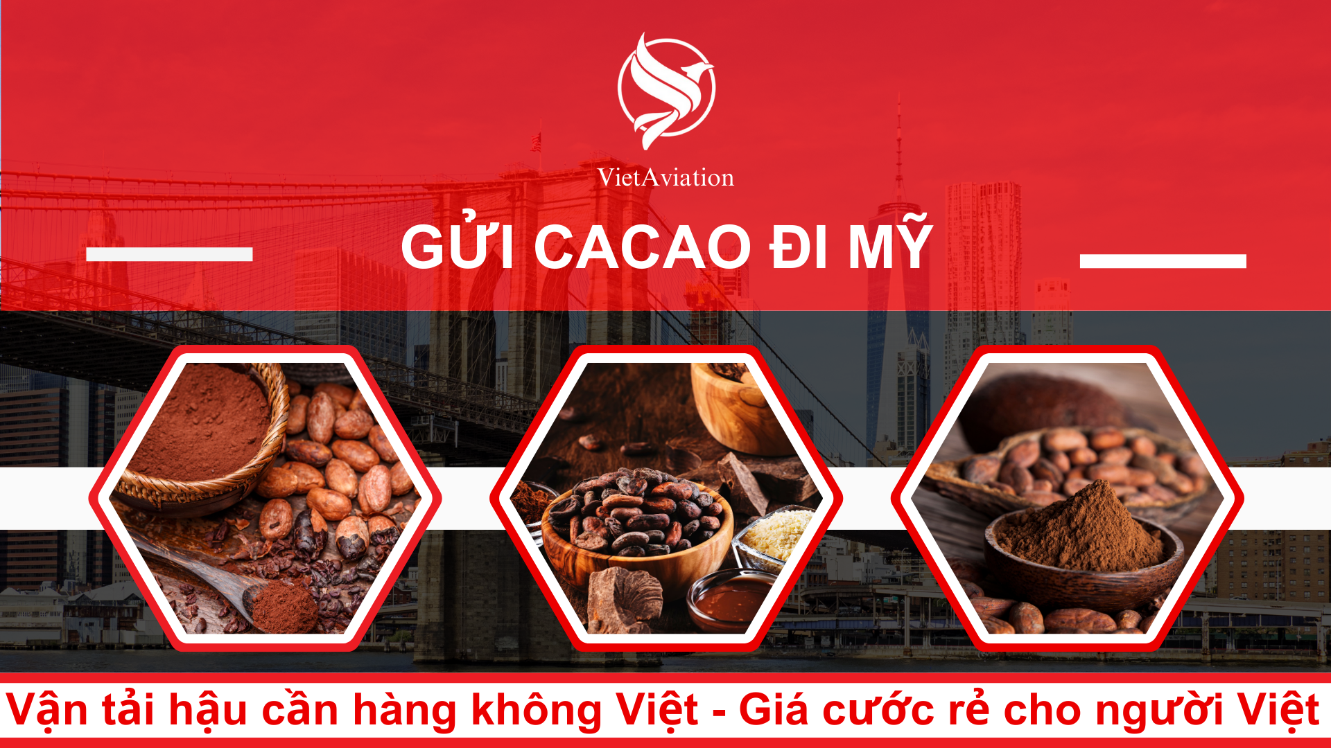Gửi Ca Cao đi Mỹ
