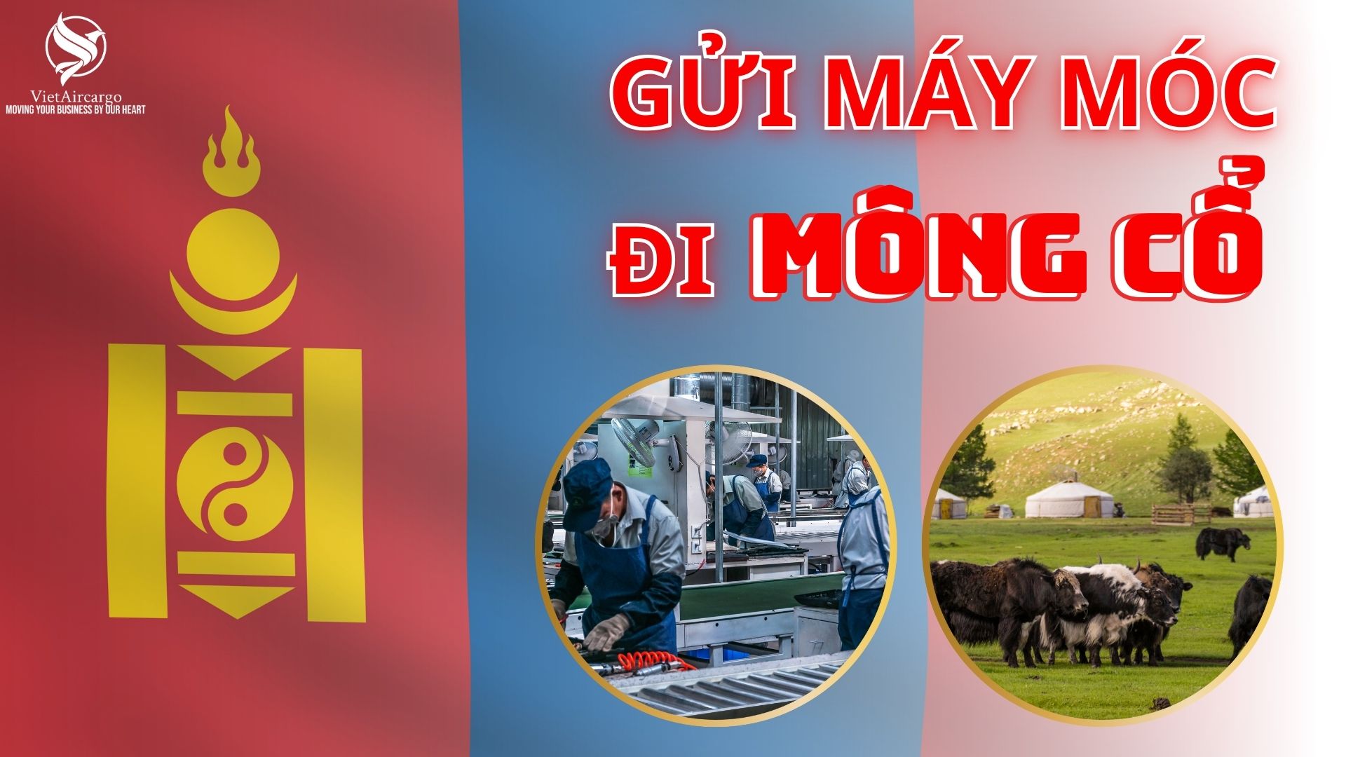 gửi máy móc đi mông cổ