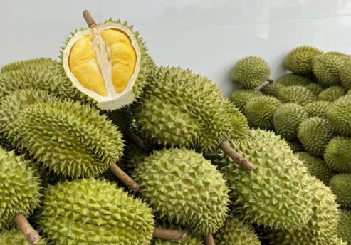 Xuất Khẩu Sầu Riêng Đông Lạnh