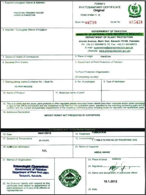 Mẫu giấy chứng nhận hun trùng phổ biến nhất hiện nay