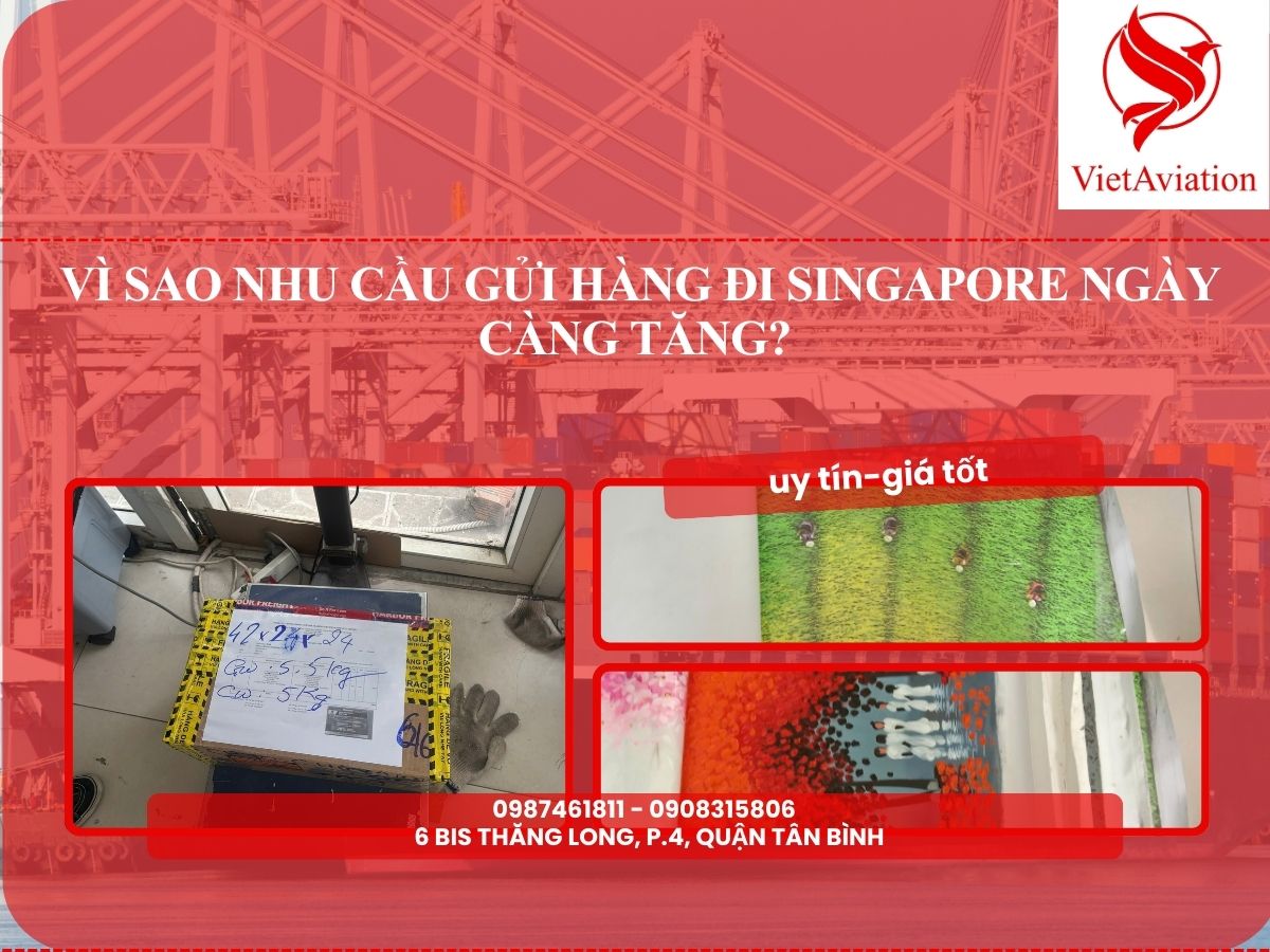  Vì Sao Nhu Cầu Gửi Hàng Đi Singapore Ngày Càng Tăng?