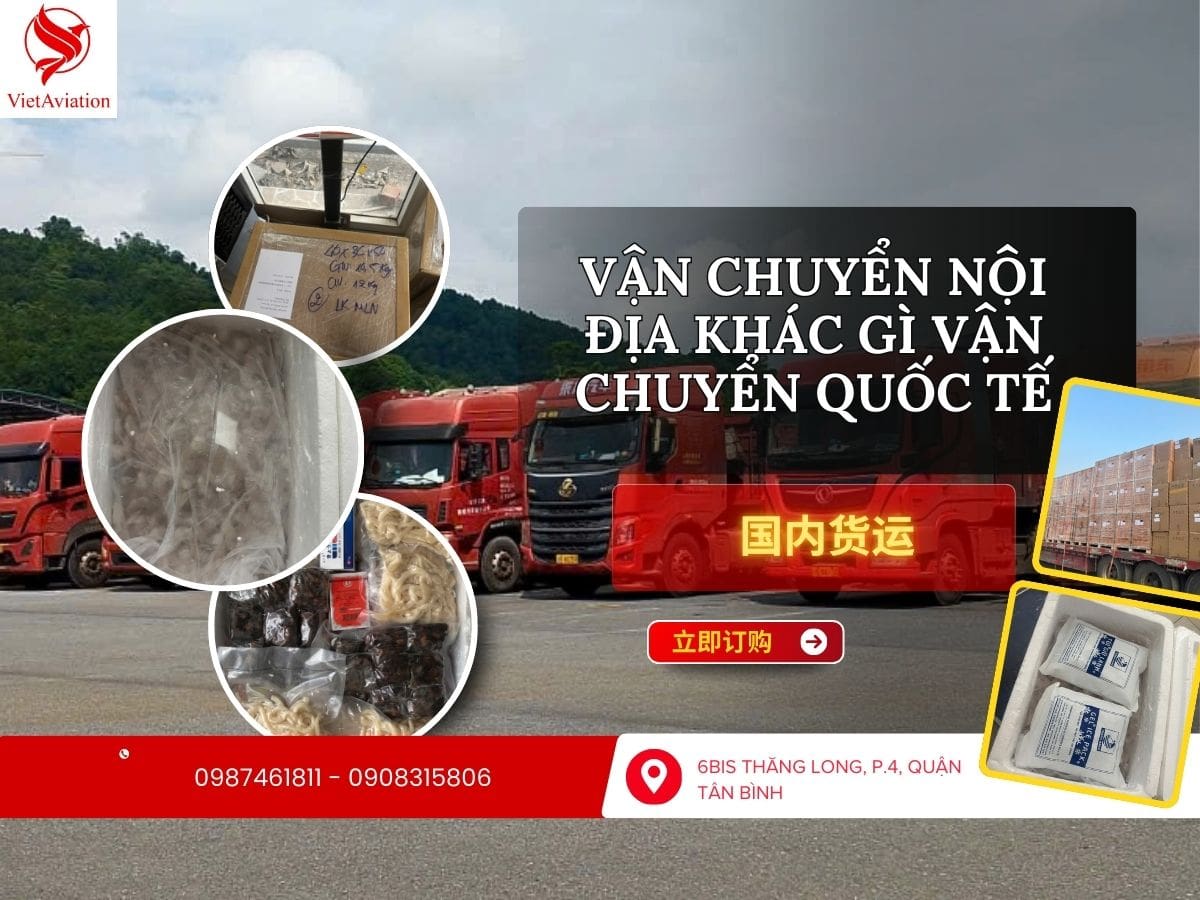 So sánh vận chuyển nội địa và vận chuyển quốc tế